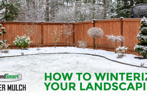 How To Winterize Your Landscaping