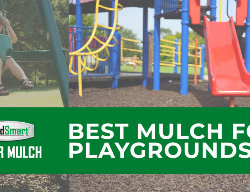 Best Mulch for Playgrounds