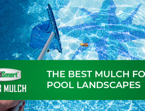 Best Mulch for Landscaping Around a Pool