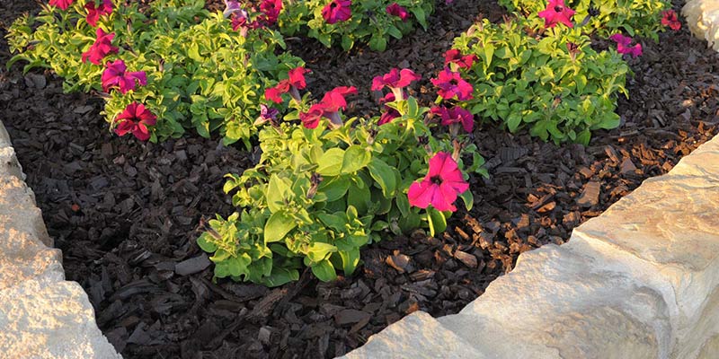 Landscape Rubber Mulch Perfect For, Is Rubber Mulch Safe For Landscaping